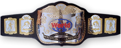 World Tag Team Wrestling Champion